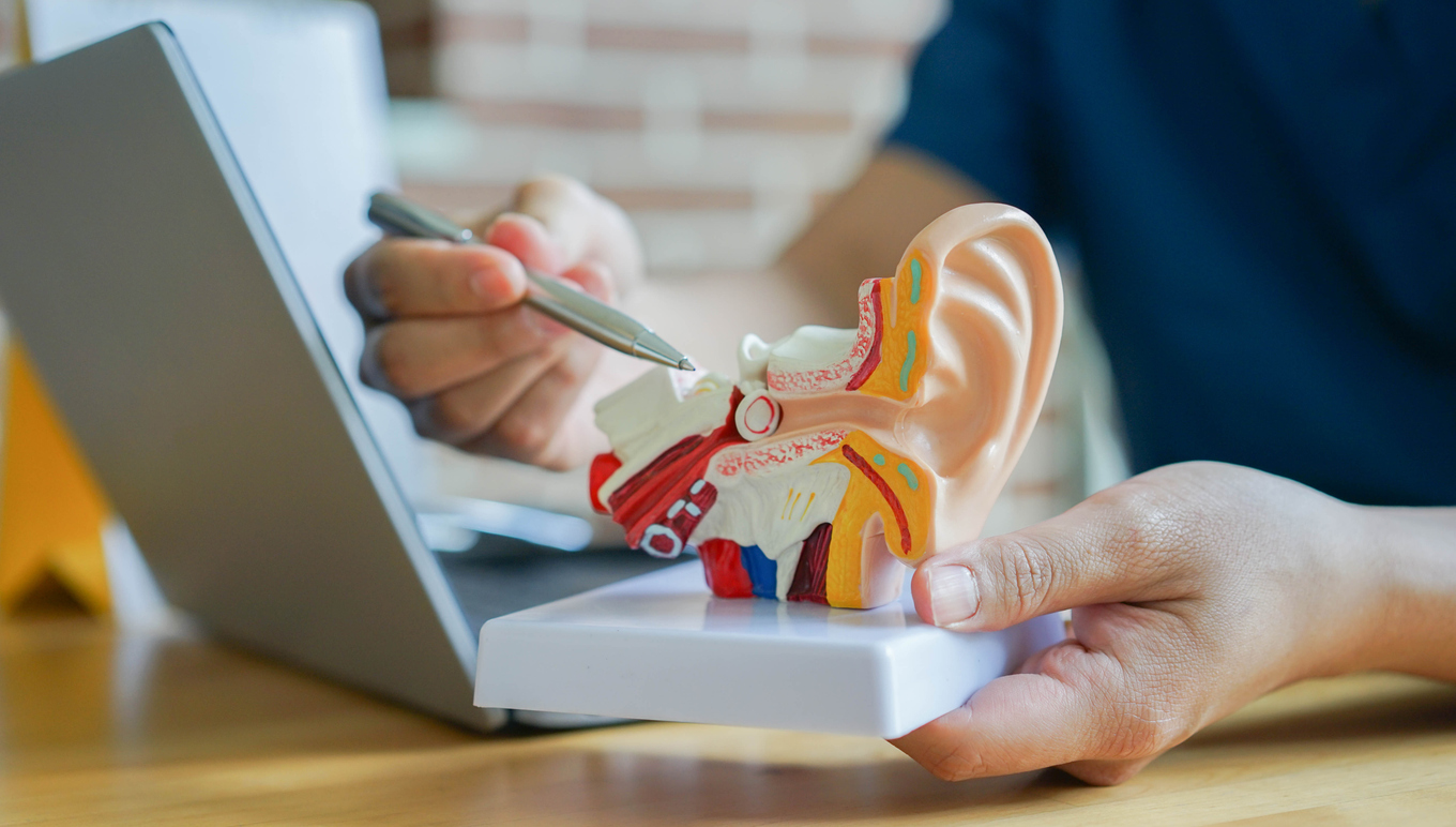 ent close up professional otolaryngologist explain and diagnose to patient by pointing on human ear anatomy about eardrum symptom for treatment and heal concept